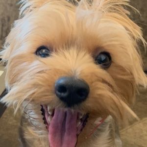 Meet your Posher, Jenna